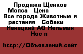 Продажа Щенков Мопса › Цена ­ 18 000 - Все города Животные и растения » Собаки   . Ненецкий АО,Нельмин Нос п.